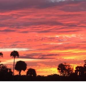 Meet your Posher, Overall